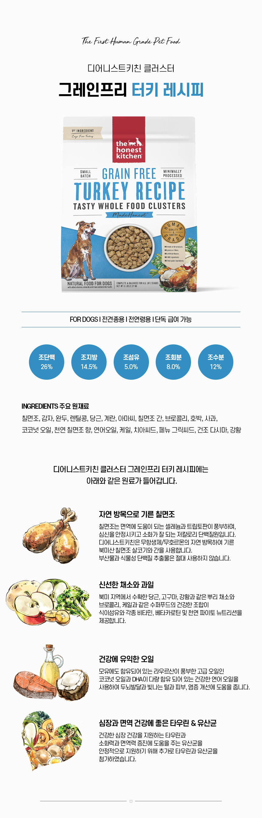 GF 터키_01.jpg