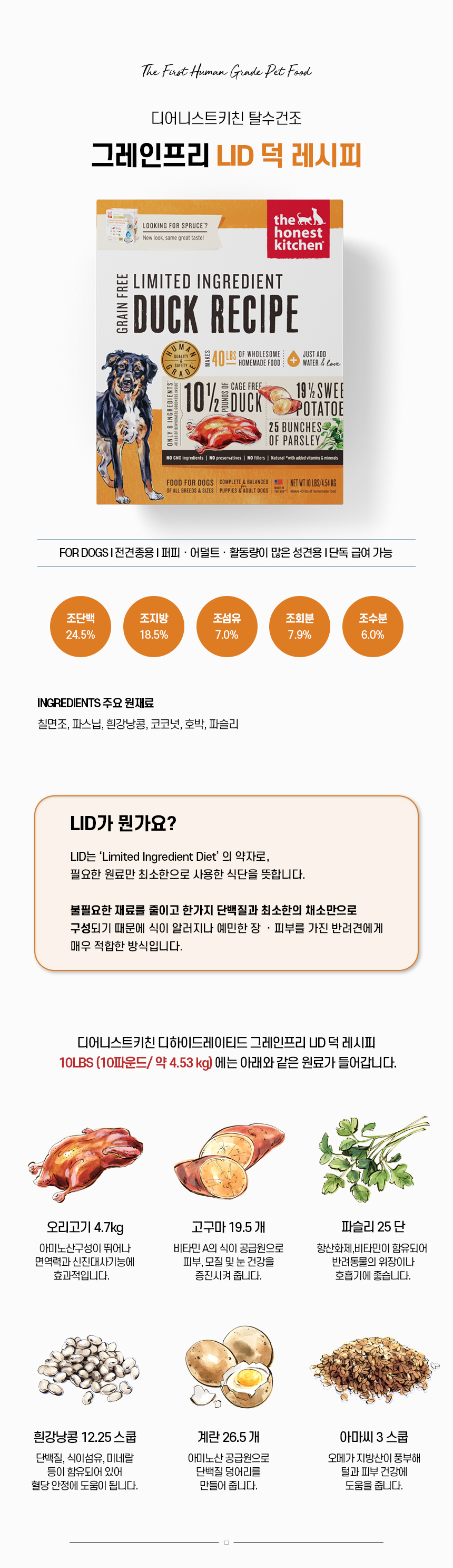LID 덕_02.jpg