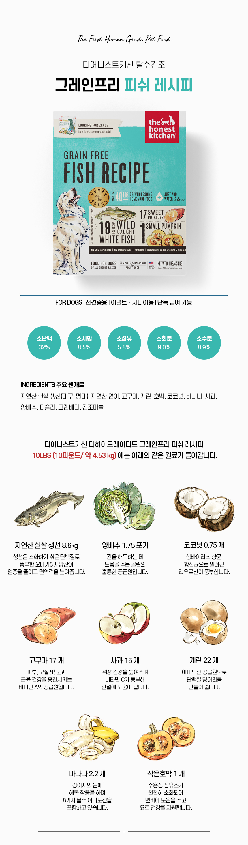 GF 피쉬_02.jpg